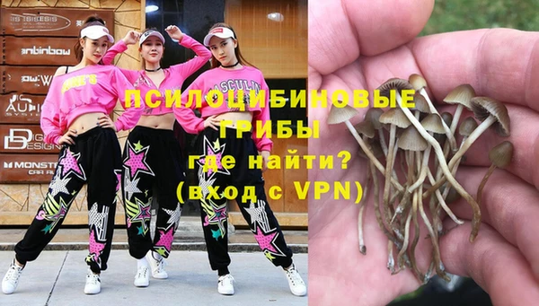 герыч Горняк