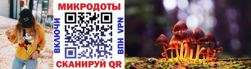 Купить закладки  Ярцево  Псилоцибиновые грибы Cubensis 