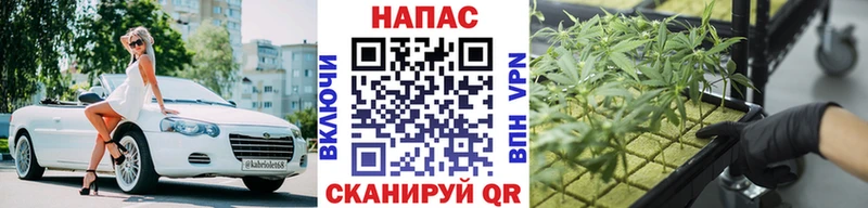 Бошки Шишки ГИДРОПОН  Купить  Ярцево 